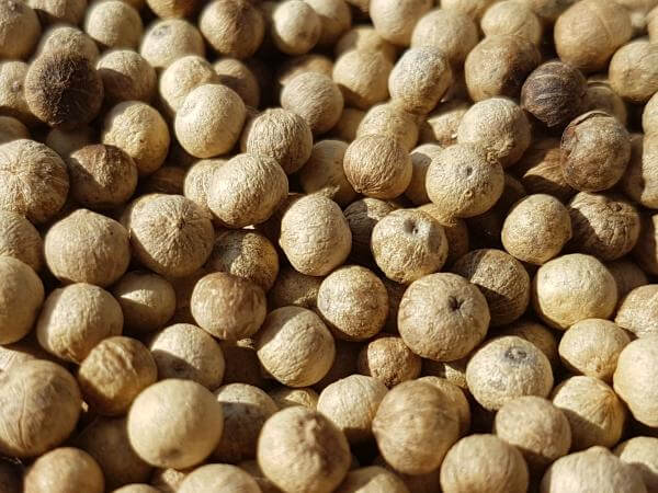 White Kampot pepper